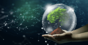 Technology Reducing Environmental Impact
